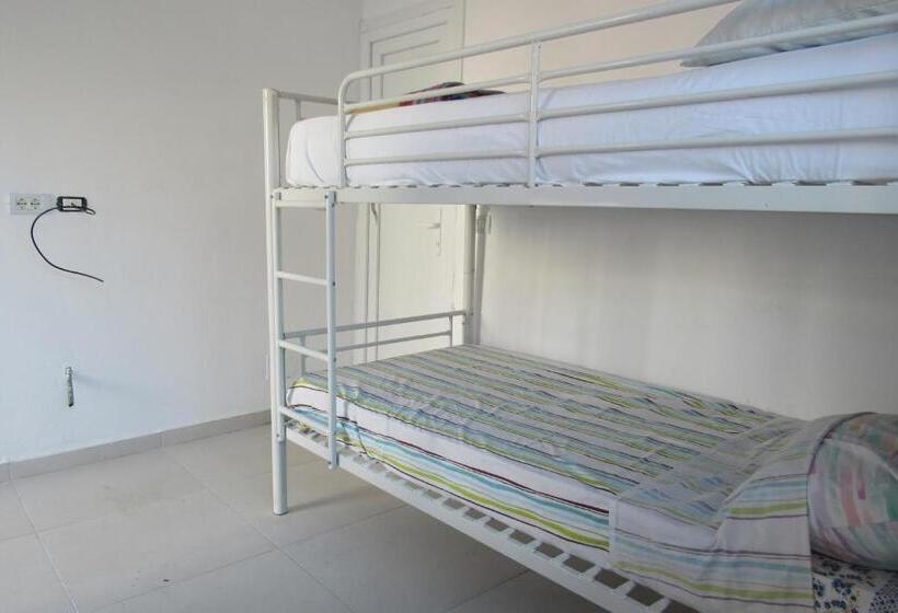 공동 객실, Elbasan Backpacker Hostel