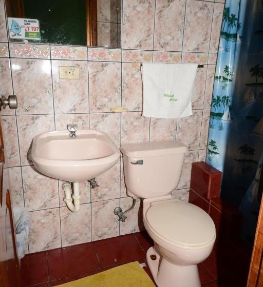 Номер Стандарт, Hostal Puyo