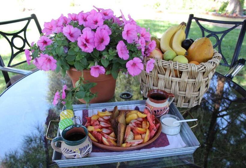 ویلای استاندارد با چشم‌انداز باغ, Rancho El Campanario En La Ruta Del Vino