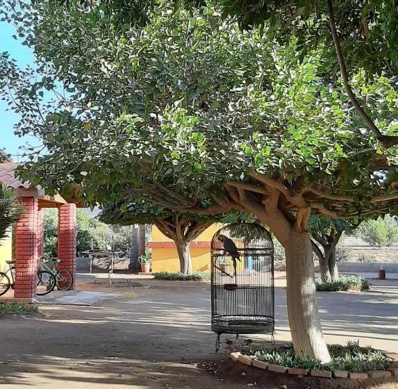 اتاق لوکس با بالکن, Rancho El Campanario En La Ruta Del Vino
