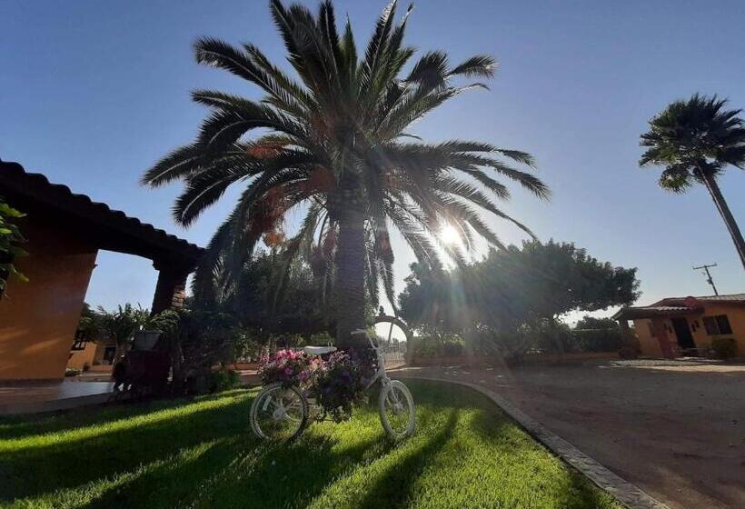 ویلای استاندارد با چشم‌انداز باغ, Rancho El Campanario En La Ruta Del Vino
