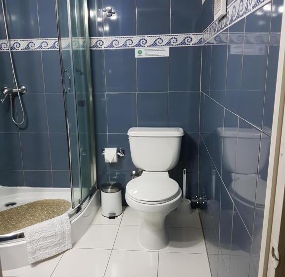 Люкс, Hostal Pehuenche