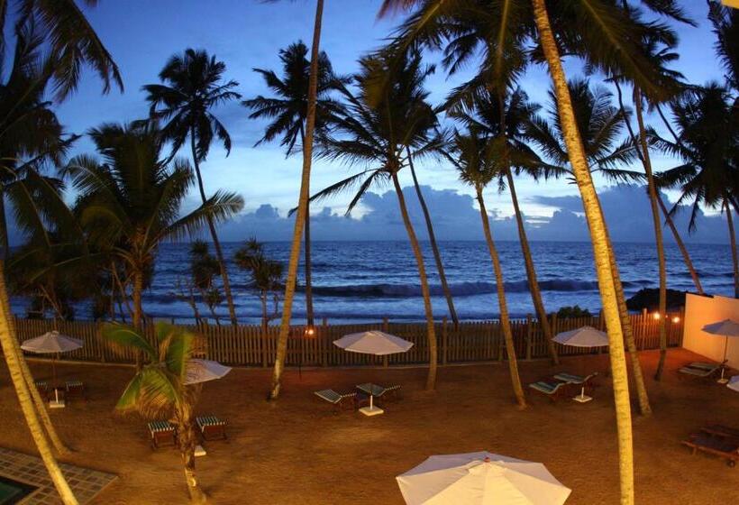 Номер Стандарт, Oasis Ayurveda Beach