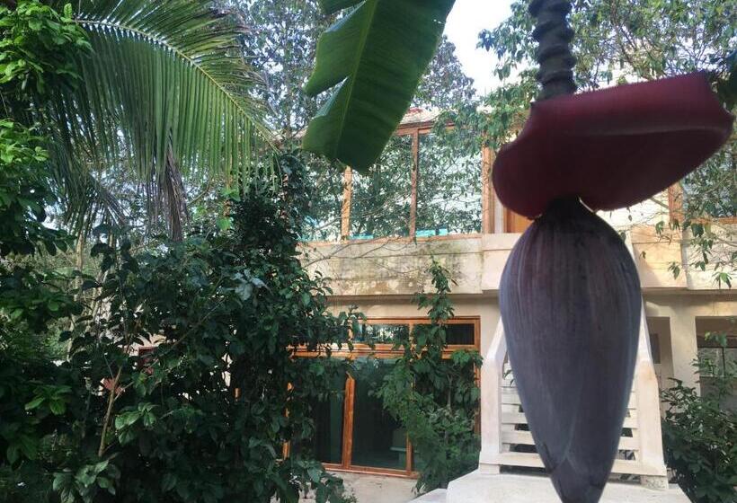 标准工作室, Casa Maya Calakmul
