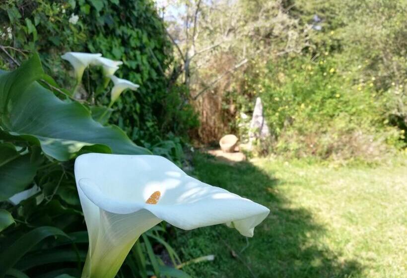 חדר סופריור עם טרסה, Casa Holstein Quinta De Sao Sebastiao Sintra