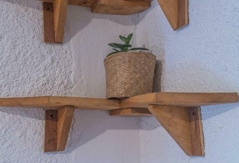 Номер Стандарт, Caracolito
