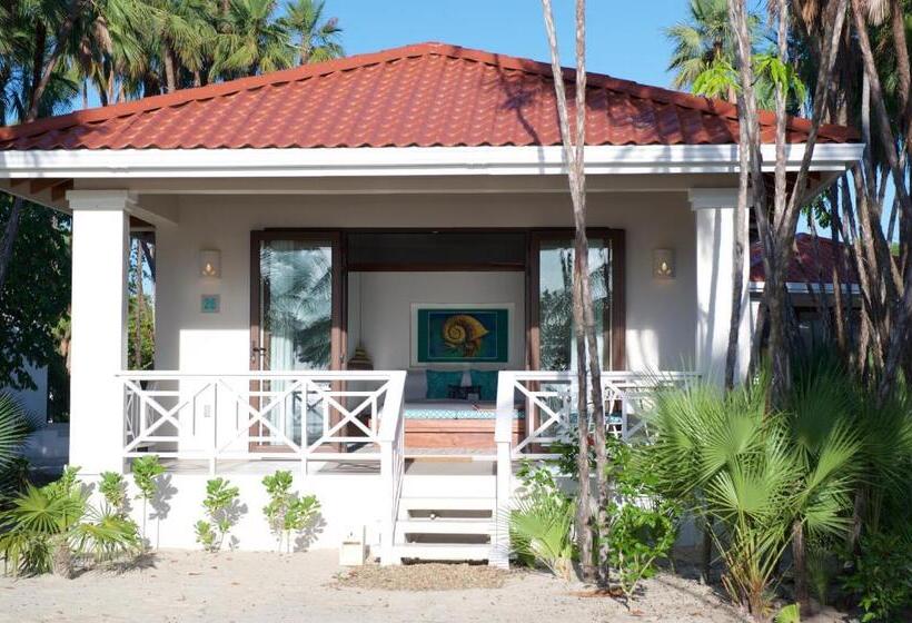 استودیو استاندارد با چشم‌انداز, Naïa Resort And Spa