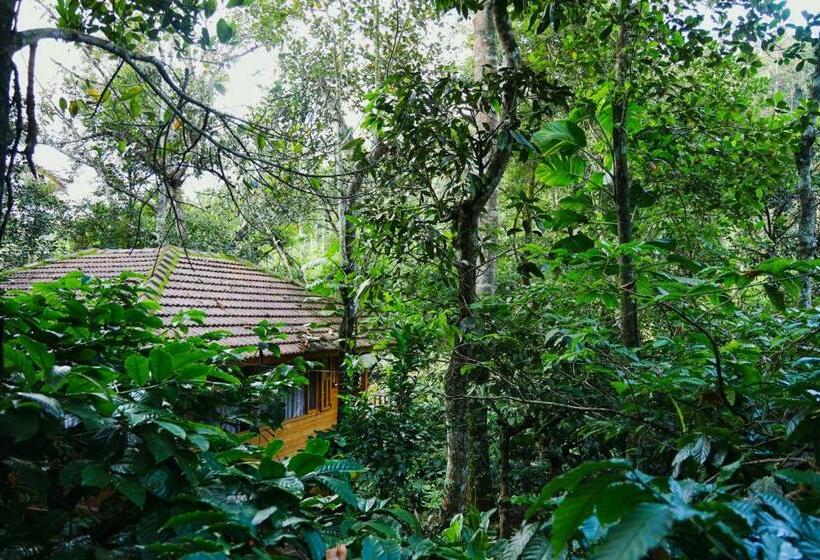 家庭间, Bamboo Creek Resort