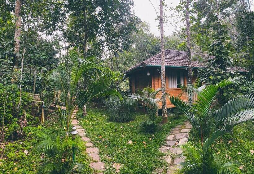 家庭间, Bamboo Creek Resort