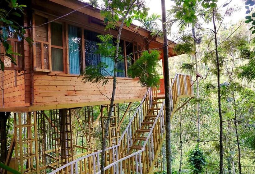 Стандартный Номер Кровать Кинг, Bamboo Creek Resort