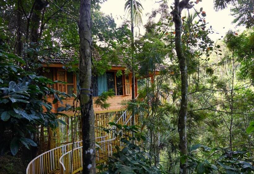 Стандартный Номер Кровать Кинг, Bamboo Creek Resort