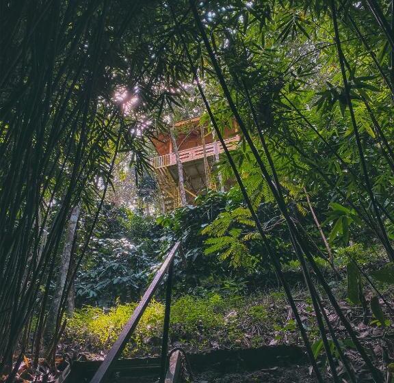 带大床的标准间, Bamboo Creek Resort