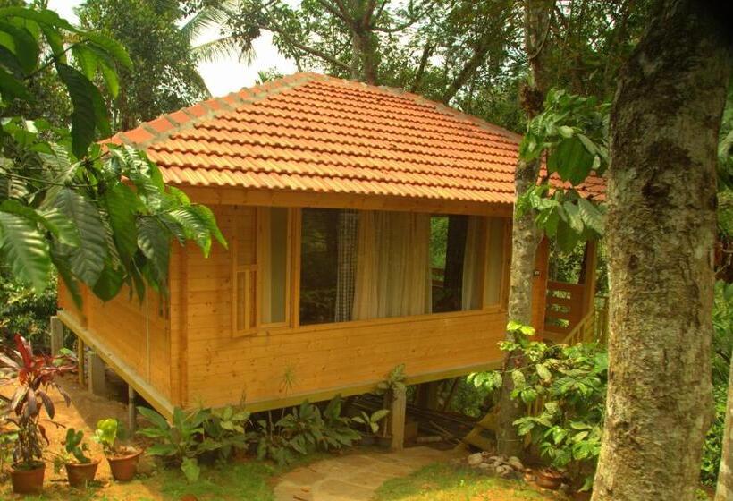 家庭间, Bamboo Creek Resort