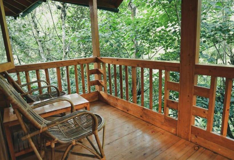 家庭间, Bamboo Creek Resort