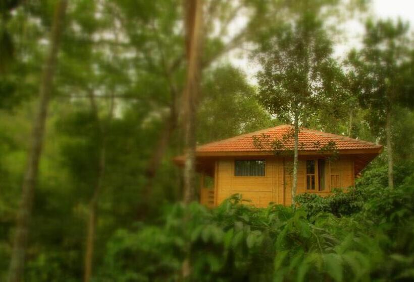 Стандартный Номер Кровать Кинг, Bamboo Creek Resort