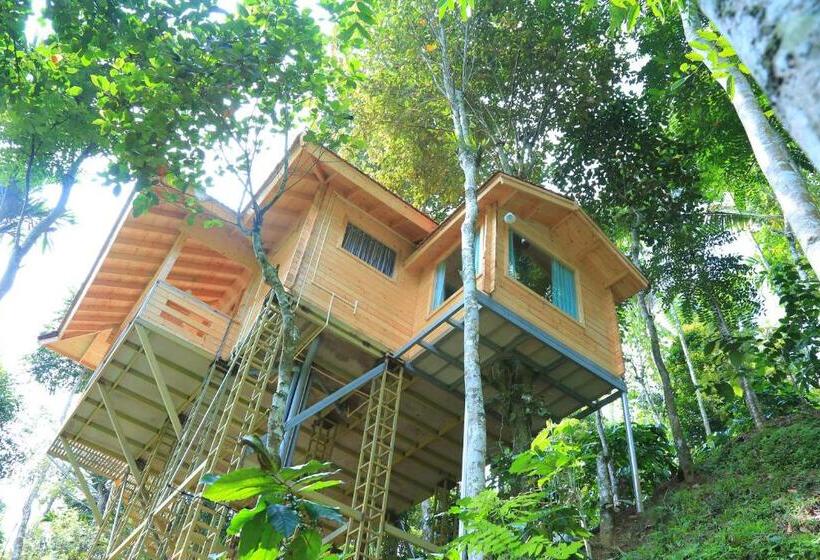 Стандартный Номер Кровать Кинг, Bamboo Creek Resort