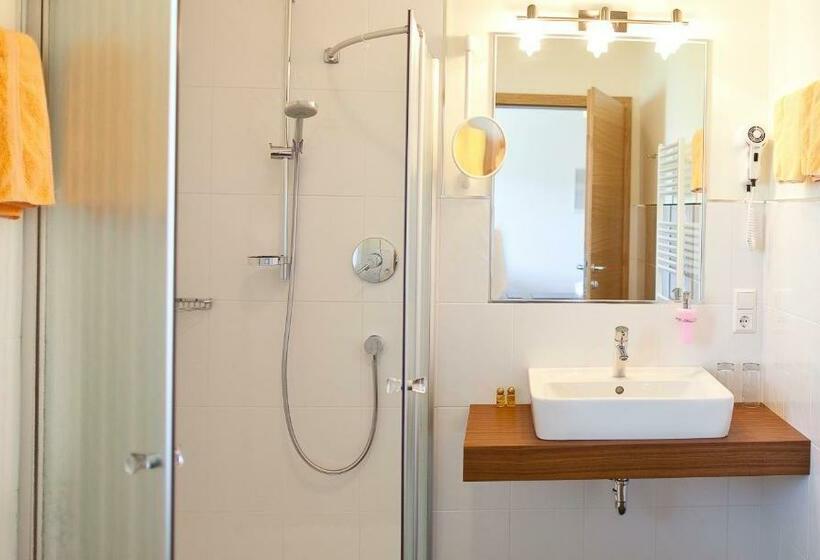 Номер Стандарт Индивидуальный, Gasthof Hotel Terzer