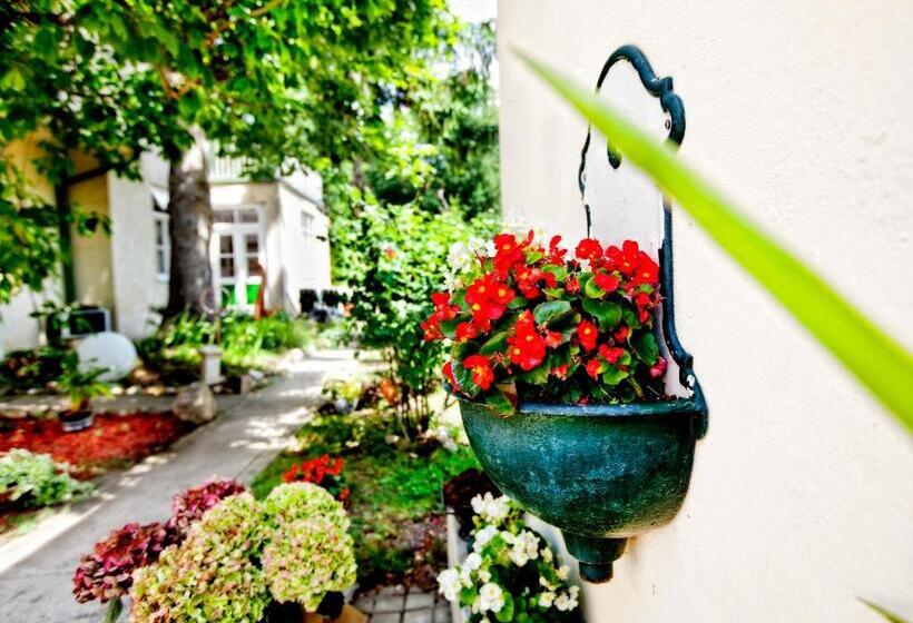 اتاق استاندارد, Pension Margit