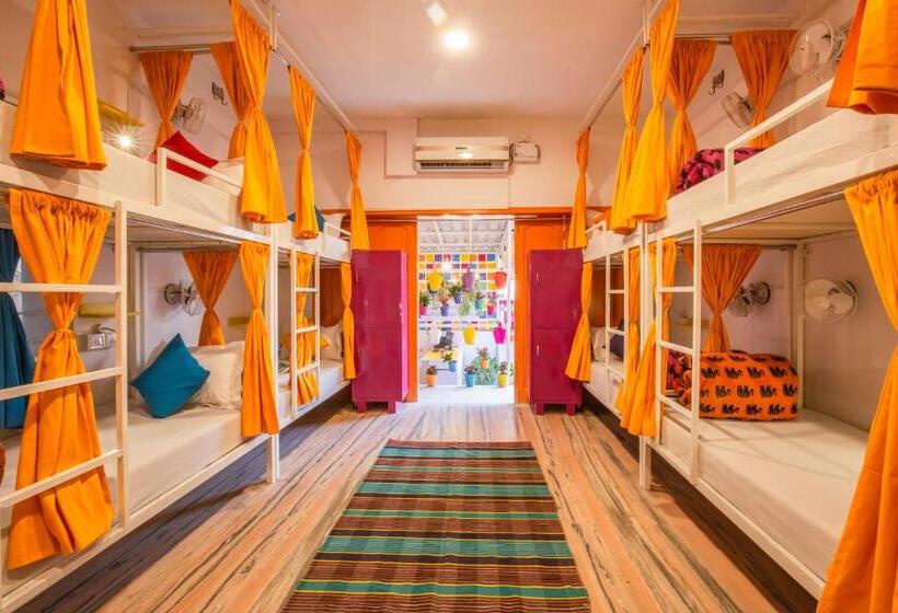共用房间的床, Gostops Jaipur