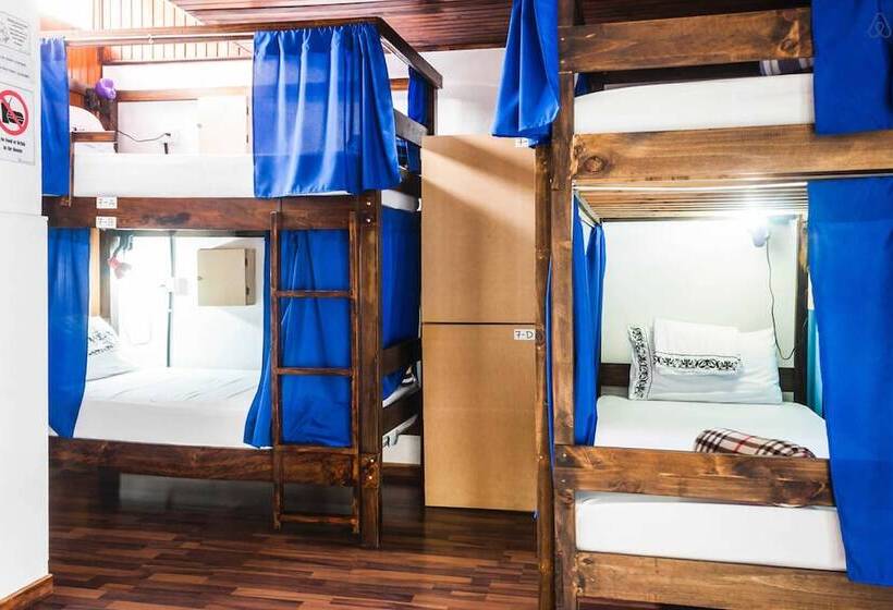 Кровать в Общей Комнате, Tripon Open House   Hostel