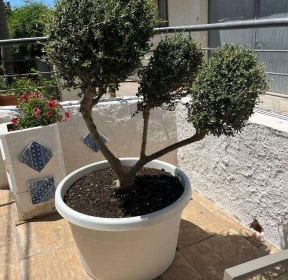 اتاق استاندارد, La Pergola B&b