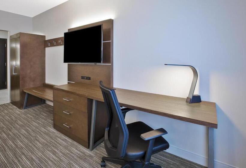 디럭스 룸 킹사이즈 침대, Holiday Inn Express & Suites Okemos   University Area, An Ihg