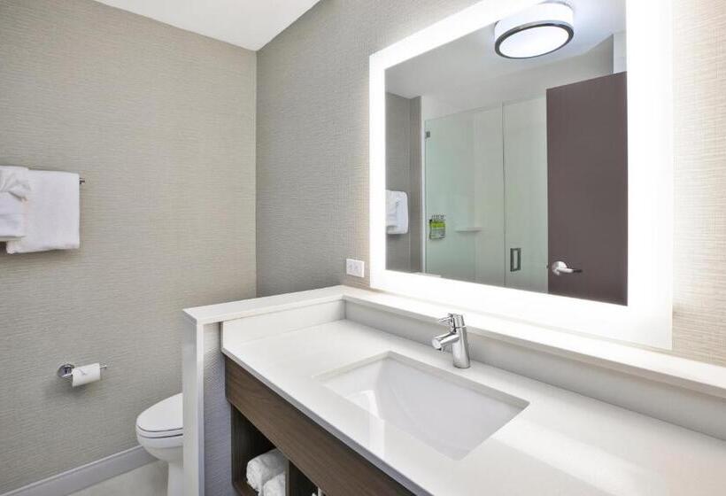 Suíte Superior, Holiday Inn Express & Suites Okemos   University Area, An Ihg