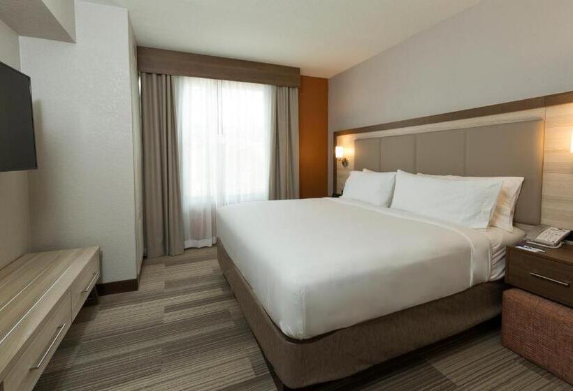 Люкс Адаптированный для Инвалидов, Holiday Inn Express & Suites S Lake Buena Vista, An Ihg