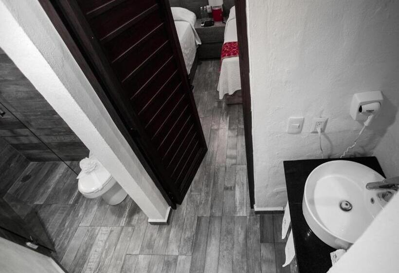 Habitació Estàndard Vista Jardí, Paradise Suites
