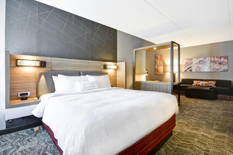 스위트 킹사이즈 침대, Springhill Suites By Marriott Cincinnati Blue Ash