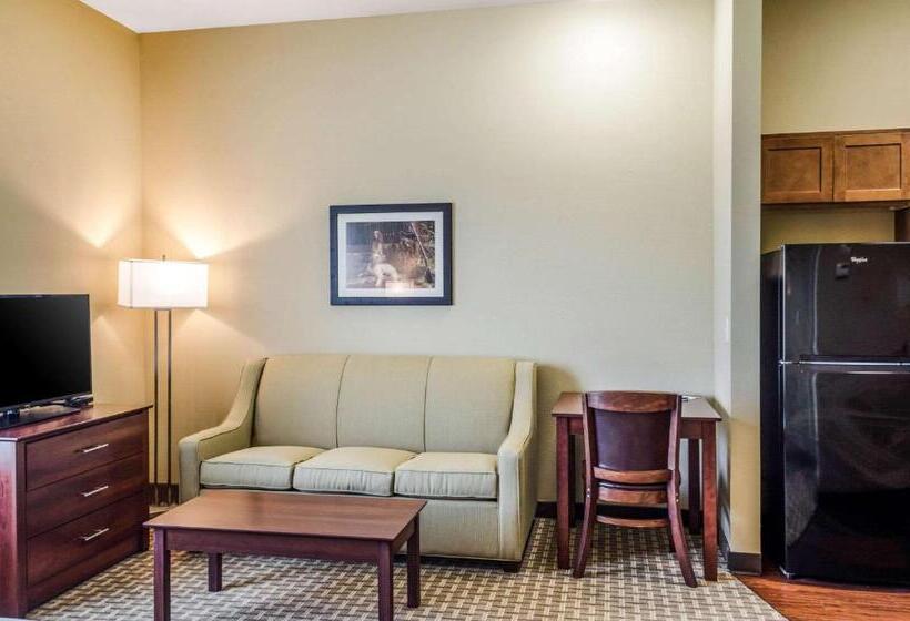 스위트 킹사이즈 침대, Mainstay Suites Hackberry Sportsman's Lodge