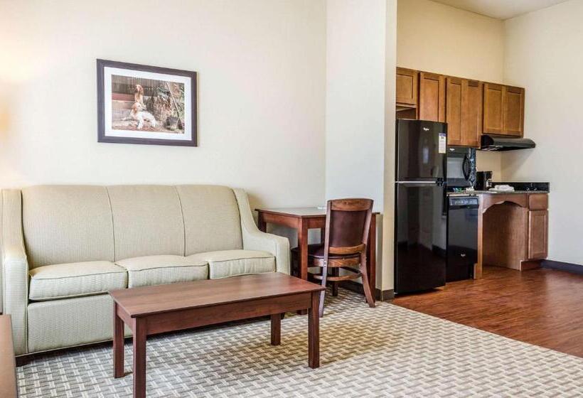 장애인을 위한 스위트, Mainstay Suites Hackberry Sportsman's Lodge