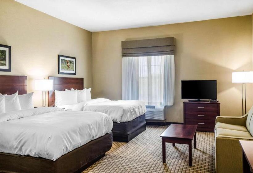 장애인을 위한 스탠다드 룸, Mainstay Suites Hackberry Sportsman's Lodge