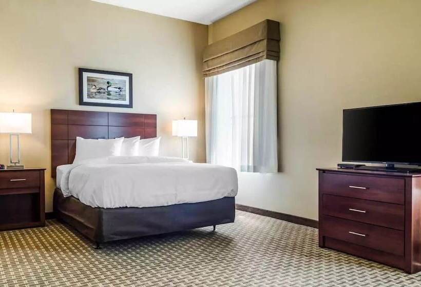 장애인을 위한 스위트, Mainstay Suites Hackberry Sportsman's Lodge