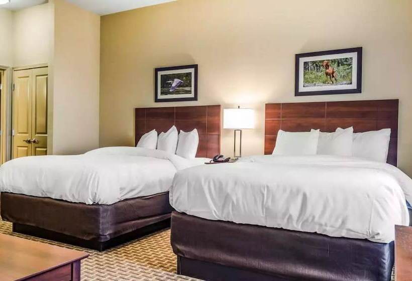 장애인을 위한 스위트, Mainstay Suites Hackberry Sportsman's Lodge