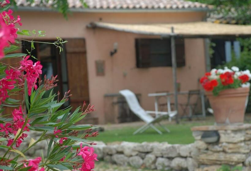 Apartamento 1 Dormitório, Podere Conte Racani