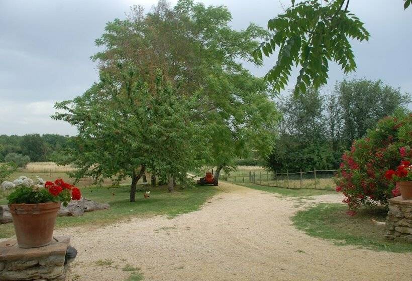 Apartamento 2 Dormitórios, Podere Conte Racani