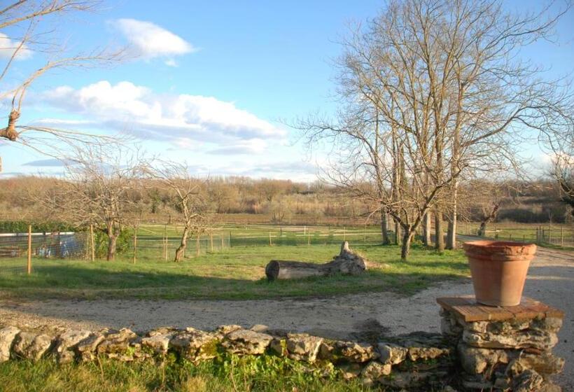 Apartamento 2 Dormitórios, Podere Conte Racani