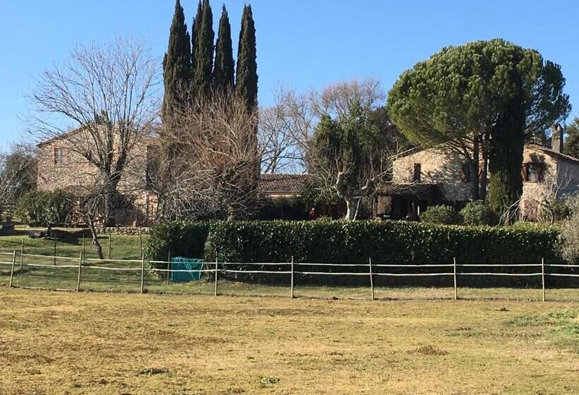 Apartamento 3 Dormitórios, Podere Conte Racani