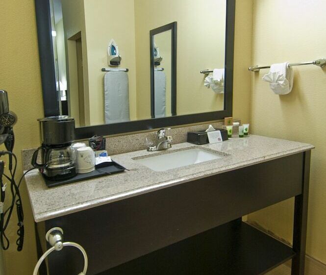 스위트 킹사이즈 침대, Executive Inn And Suites Tyler