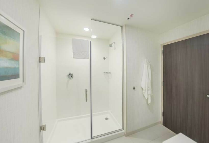 Люкс, Fairfield Inn & Suites By Marriott Des Moines Altoona