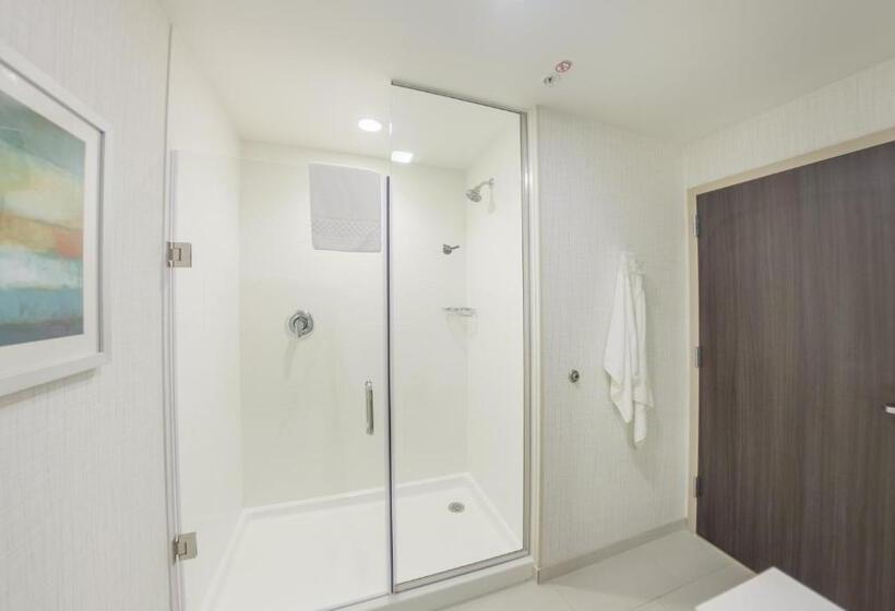 Люкс, Fairfield Inn & Suites By Marriott Des Moines Altoona