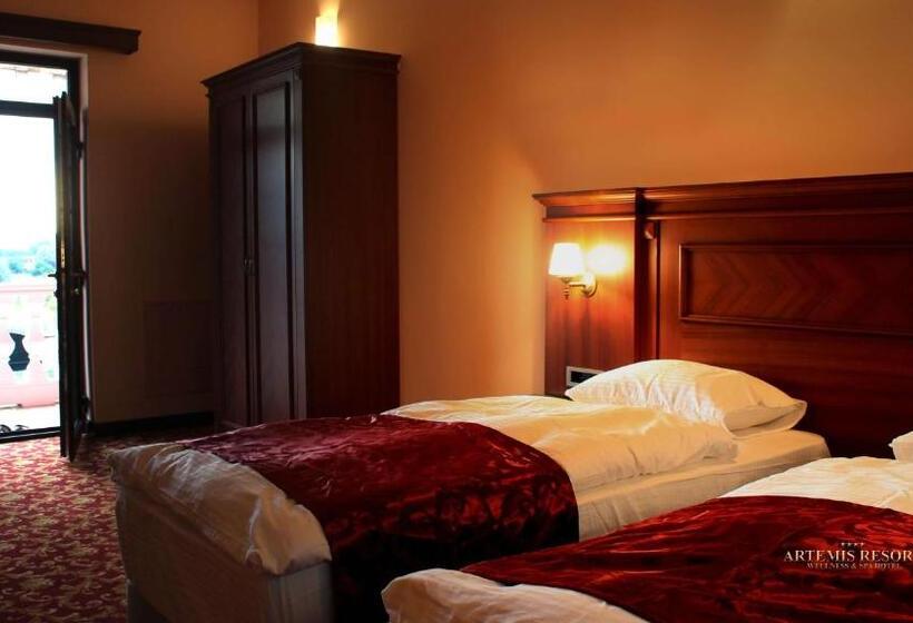 Номер Deluxe, Artemis Resort Wellness