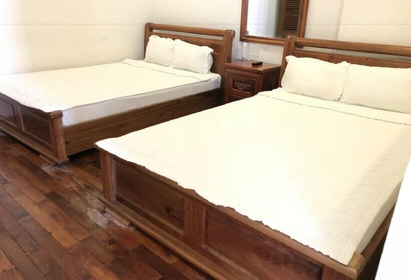 اتاق استاندارد چهار تخته, Hoang Oanh