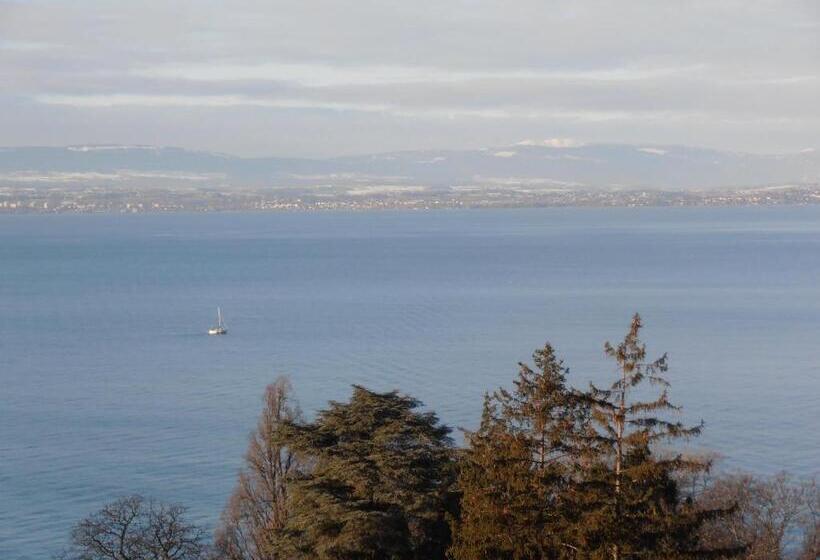 Номер Стандарт Вид на Озеро, Hôtel Evian Express   Terminus