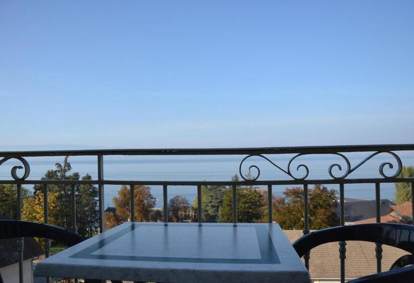 Номер Стандарт Вид на Озеро, Hôtel Evian Express   Terminus