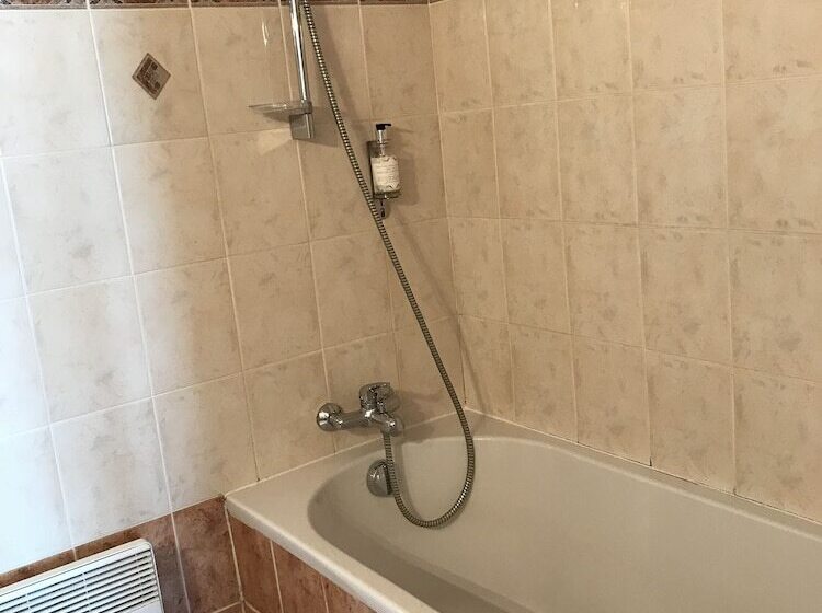 Номер Стандарт Вид на Озеро, Hôtel Evian Express   Terminus