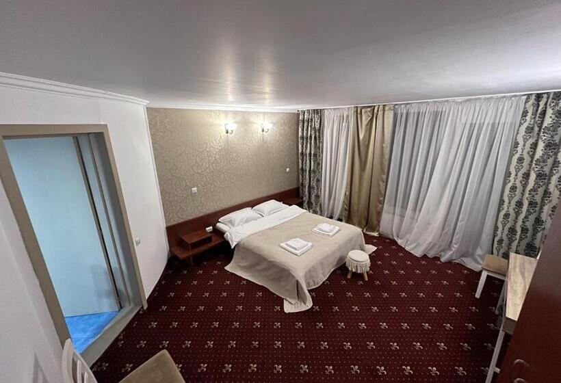 Standard Room, Pensiunea Crescent Predeal