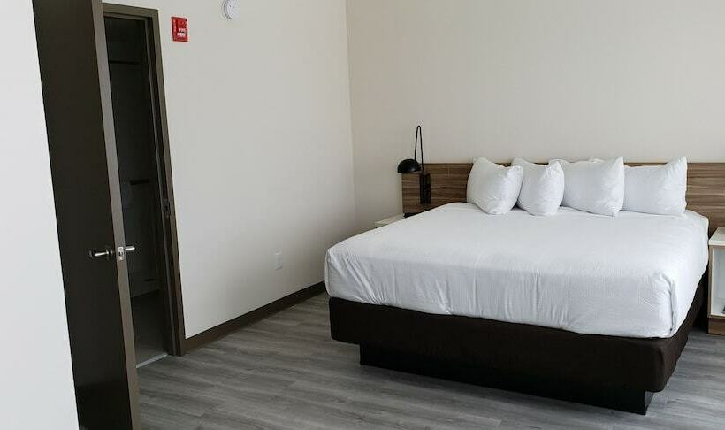 Люкс, Wyndham Garden Ft Lauderdale Airport & Cruise Port