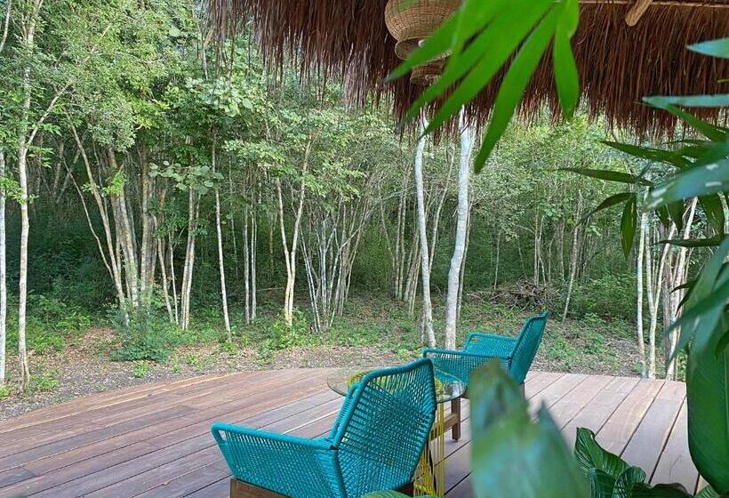 デラックスバンガロー, Casa Kaan Calakmul